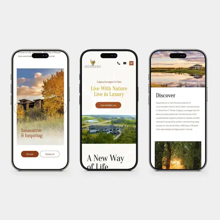 Silverhorn mobile web design