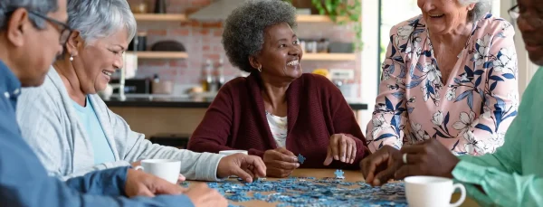 Case Study The Manor Village