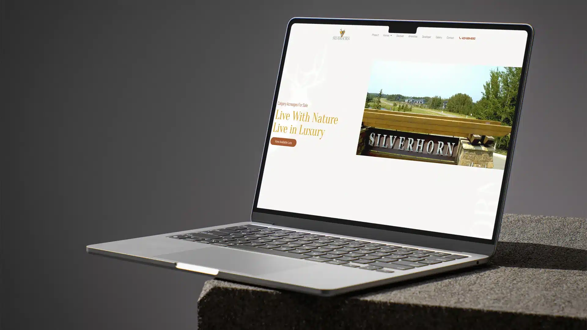 Silverhorn website design